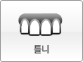 틀니